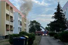 20220813_b2_dlk_anforderung_feuerwehr_dannenberg_2