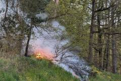 20240429_wb1_flaechenbrand_feuerwehr_dannenberg_1