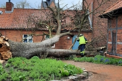 20210504_h1_baum_auf_gebauede_feuerwehr_dannenberg