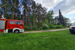 20250510_wb1_brennt_unterholz_im_wald_feuerwehr_dannenberg_1