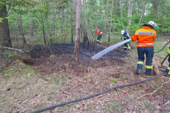 20250510_wb1_brennt_unterholz_im_wald_feuerwehr_dannenberg_2