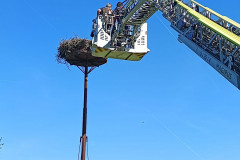 20250511_h1_tierrettung_feuerwehr_dannenberg_2