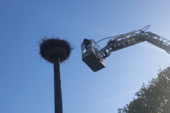 20250513_h1_tierrettung_feuerwehr_dannenberg_2