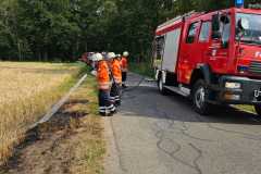 20230619_wb2_flaechenbrand_feuerwehr_dannenberg_3