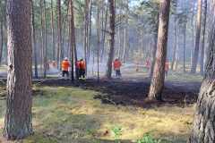 20230621_wb2_waldbrand_feuerwehr_dannenberg_2