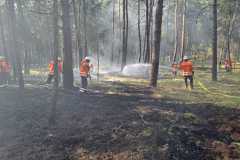 20230621_wb2_waldbrand_feuerwehr_dannenberg_3