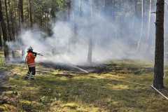 20230621_wb2_waldbrand_feuerwehr_dannenberg_4