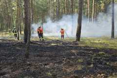 20230621_wb2_waldbrand_feuerwehr_dannenberg_5