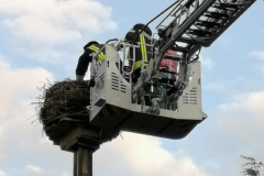 20210809_h1_tierrettung_storch_feuerwehr_dannenberg_2