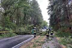 20220725_h1_sturmschaeden_dannenberg_feuerwehr_dannenberg_2