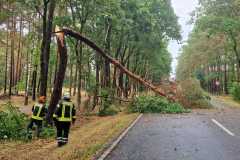 20220725_h1_sturmschaeden_dannenberg_feuerwehr_dannenberg_3