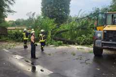 20220725_h1_sturmschaeden_doemitz_feuerwehr_dannenberg-12