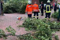 20220725_h1_sturmschaeden_doemitz_feuerwehr_dannenberg-2