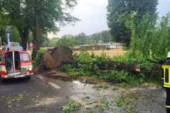 20220725_h1_sturmschaeden_doemitz_feuerwehr_dannenberg-8