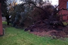 20220220_h1_unwetter_feuerwehr_dannenberg_8