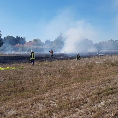 20180930_B1_Flaechenbrand_Guemse_Feuerwehr_Dannenberg_2