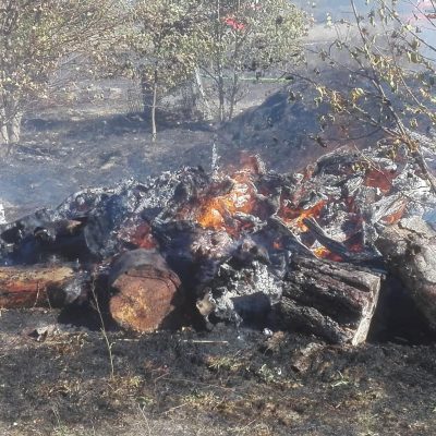 20180930_B1_Flaechenbrand_Guemse_Feuerwehr_Dannenberg_3