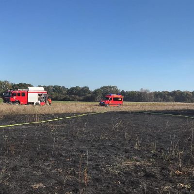 20180930_B1_Flaechenbrand_Guemse_Feuerwehr_Dannenberg_6