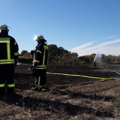 20180930_B1_Flaechenbrand_Guemse_Feuerwehr_Dannenberg_7