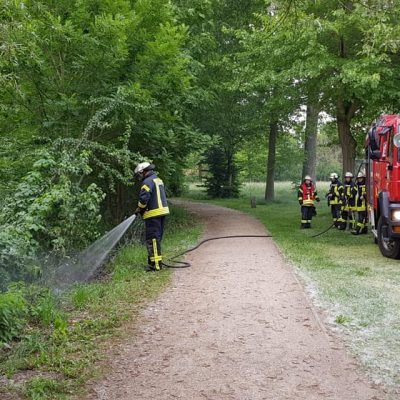 201290526_B1_Feuer_Boeschungsbrand_Feuerwehr_Dannenberg_3