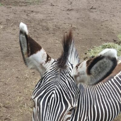 20190615_FG_Besuch_Schweriner_Zoo_Floriangruppe_Dannenberg_6