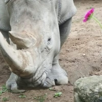 20190615_FG_Besuch_Schweriner_Zoo_Floriangruppe_Dannenberg_7