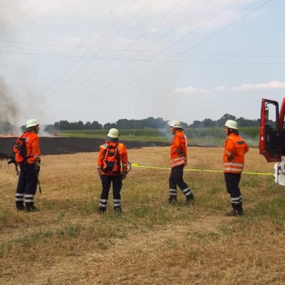 20200813_WB2_Brennt_Trecker_Flaechenbrand_Feuerwehr_Dannenberg_3